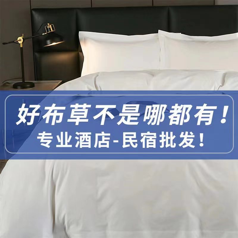 412ea203-8c80-49f0-95b5-eb84b770b33820241014200301_182.jpg
